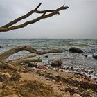 Am Greifswalder Bodden - kalt, ungemütlich aber schön...