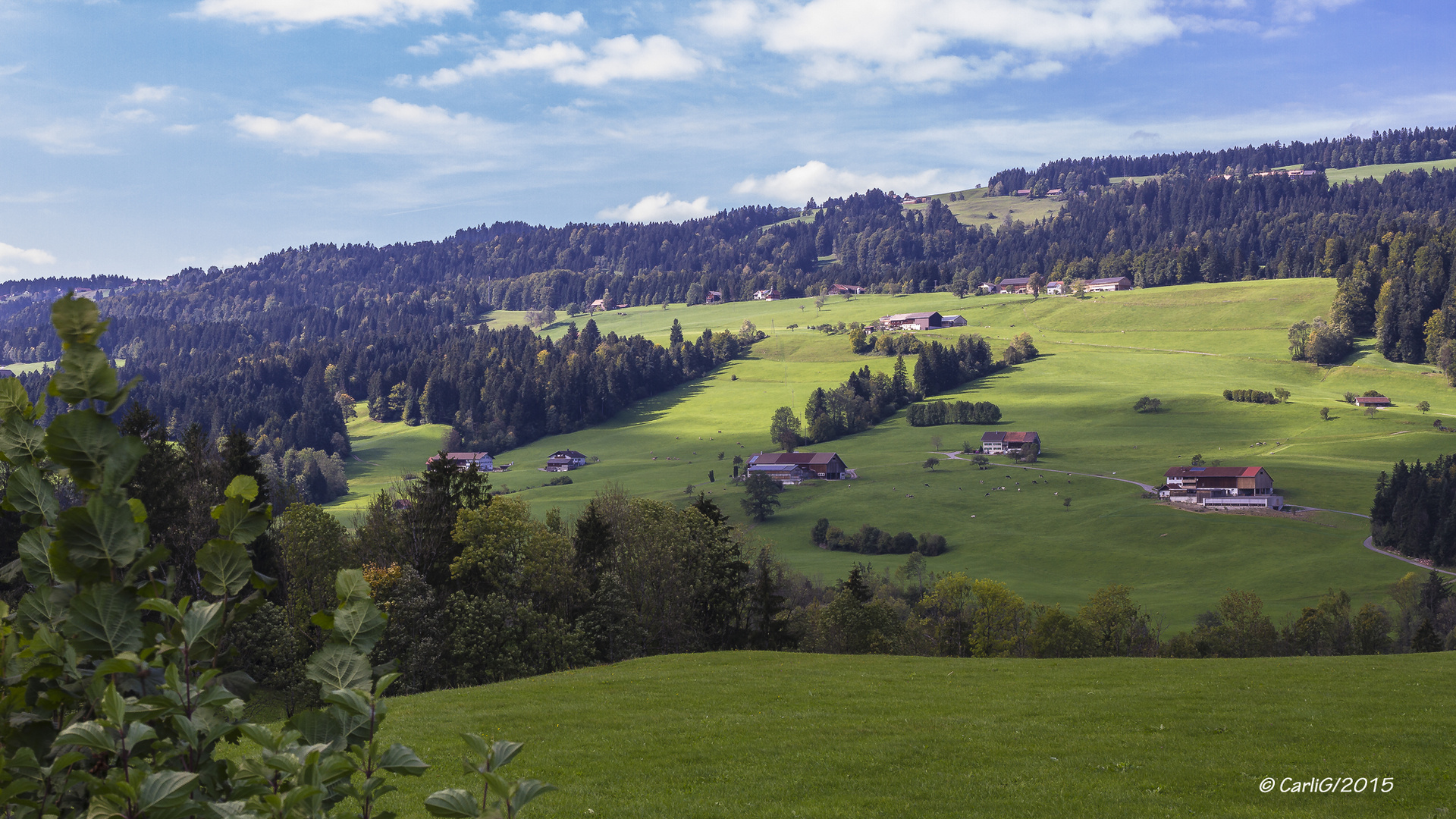 Am Grenzgebiet zwischen Österreich und Deutschland