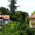 Am Griebnitzsee