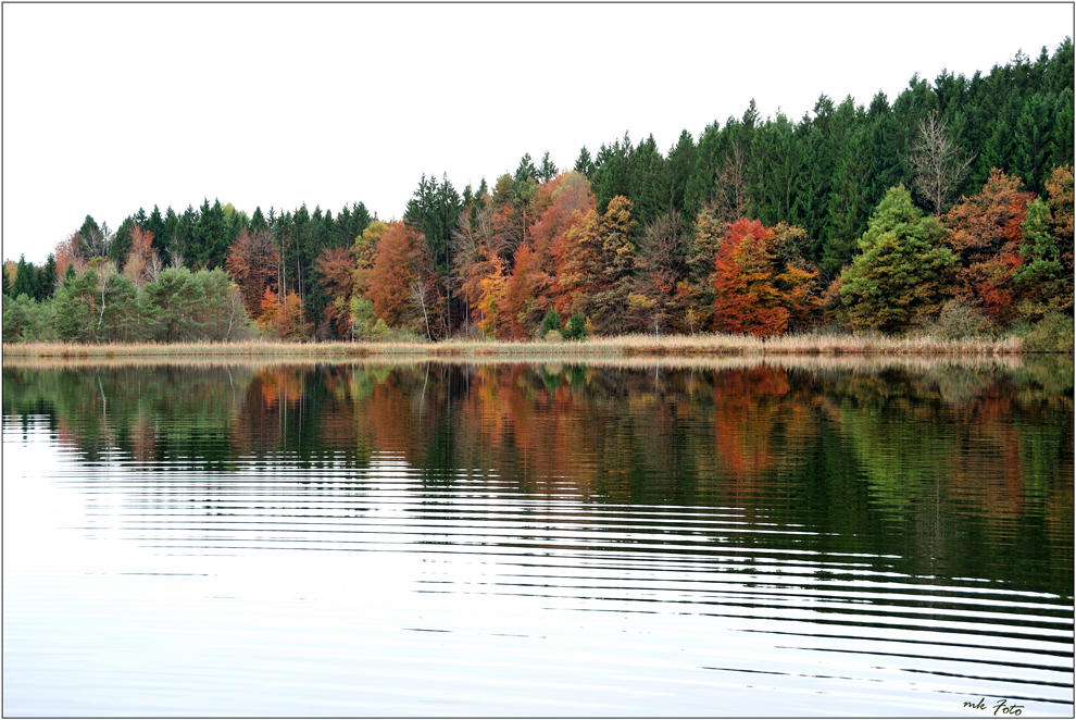 Am Griessee