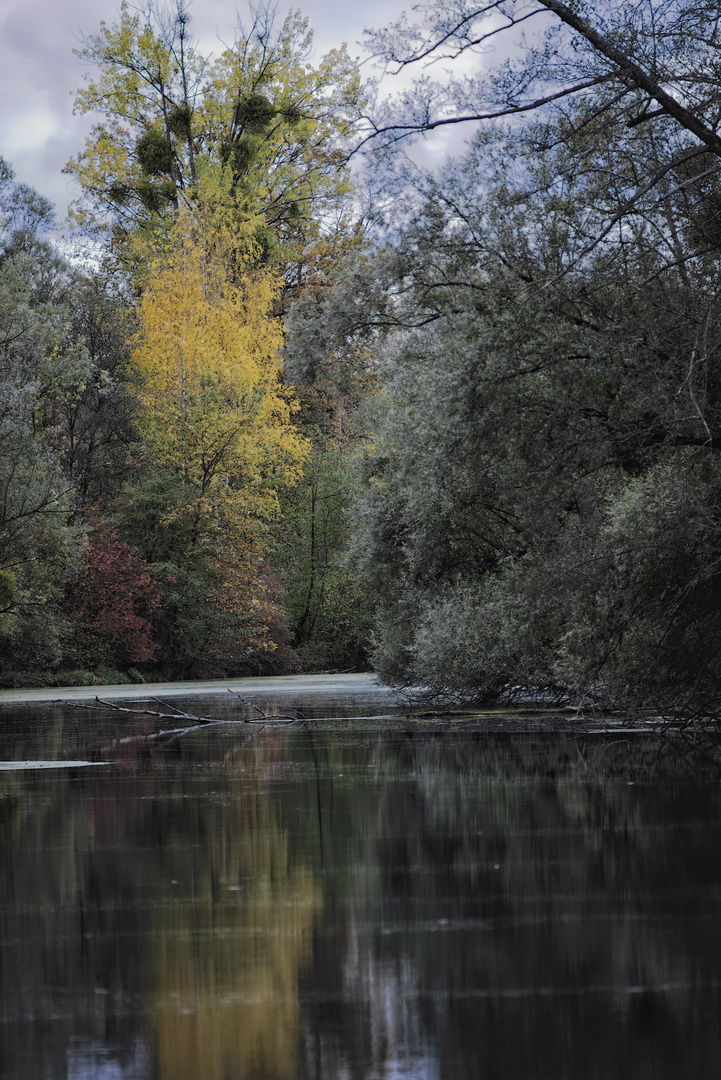 am Groschenwasser