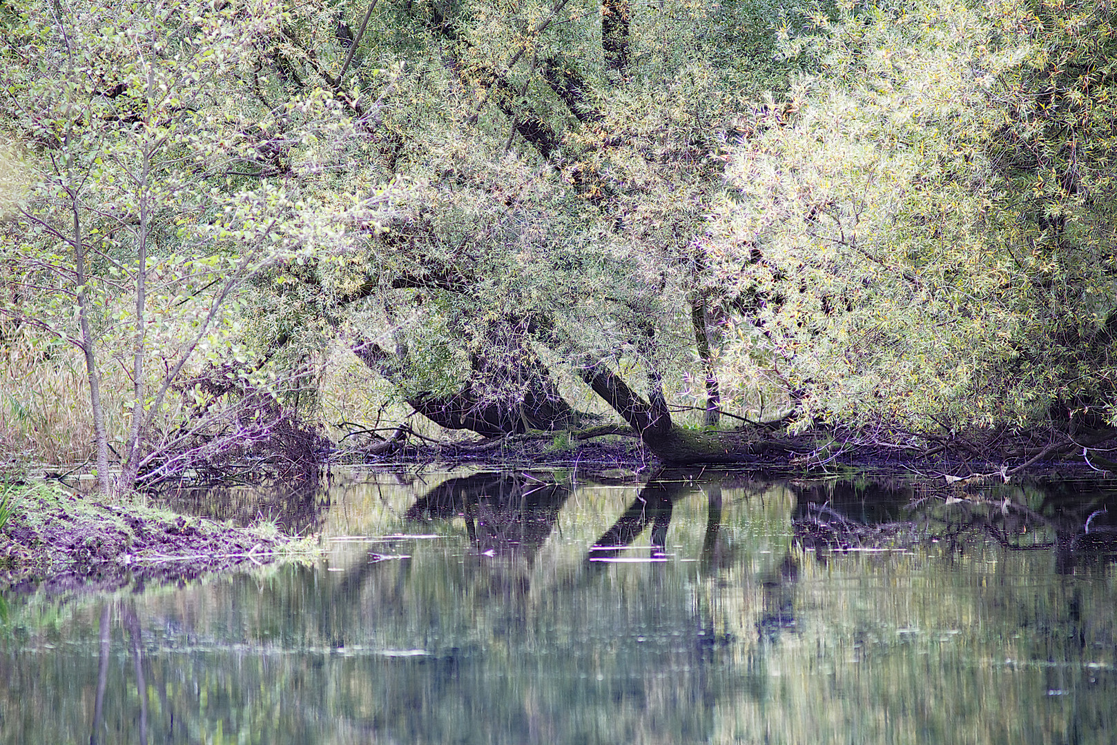 am Groschenwasser II