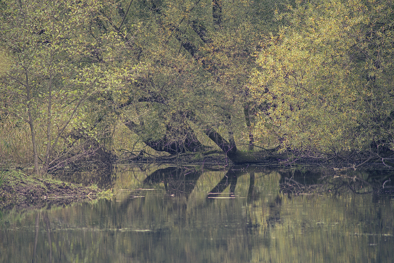 am Groschenwasser II neu bearbeitet