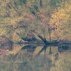 am Groschenwasser II neu bearbeitet