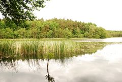 Am Großdöllner See