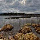 Am großem Ostersee