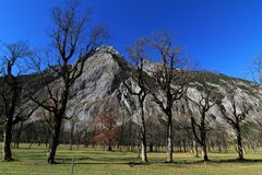 Am Großen Ahornboden - 3 -