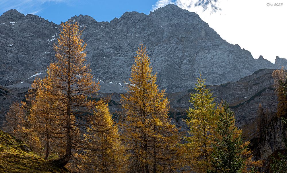 am Großen Ahornboden / Österreich