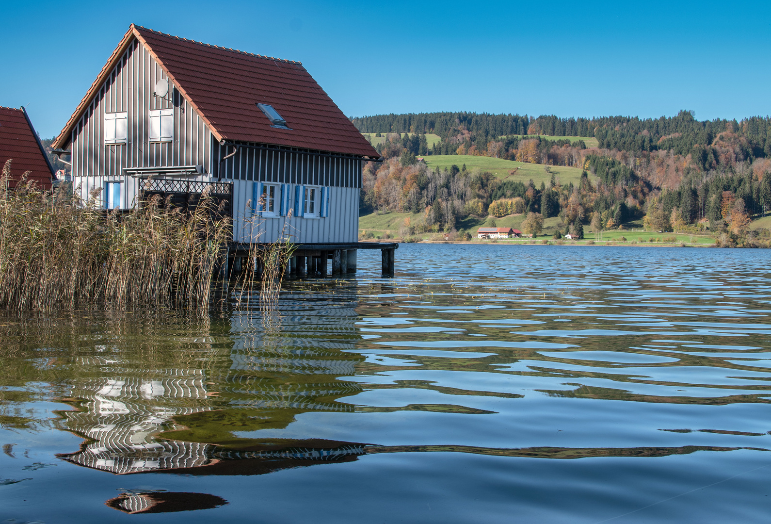 Am Großen Alpsee