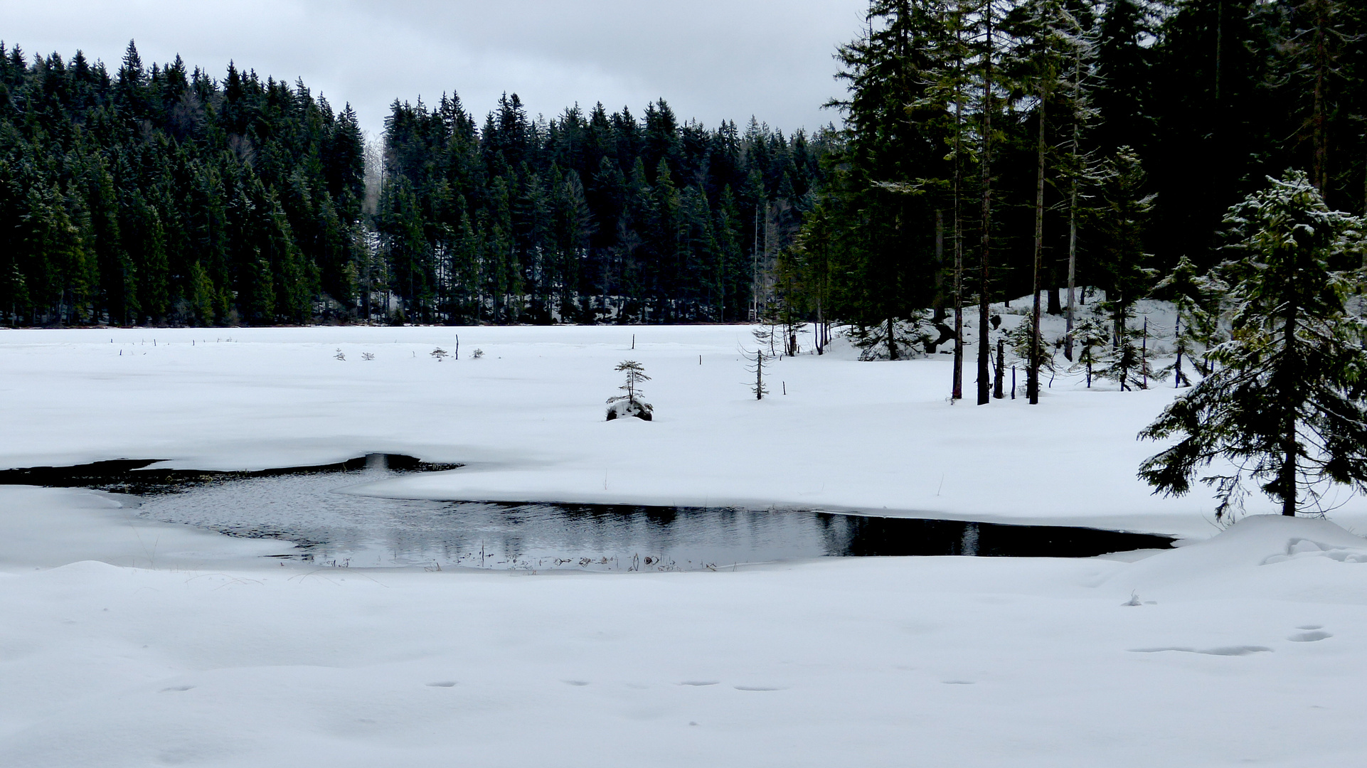 am Großen Arbersee  