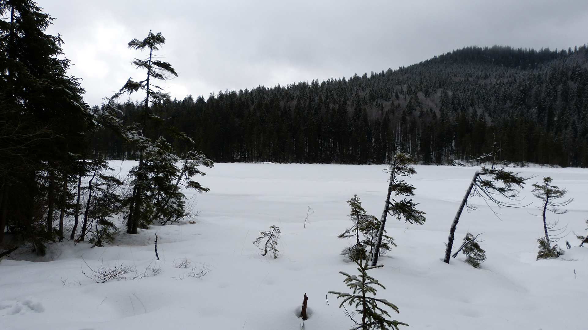 am Großen Arbersee 