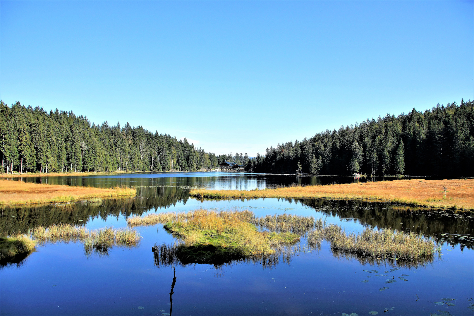 Am Großen Arbersee