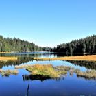 Am Großen Arbersee