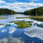 Am Großen Arbersee 