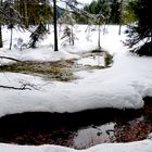 am Großen Arbersee  