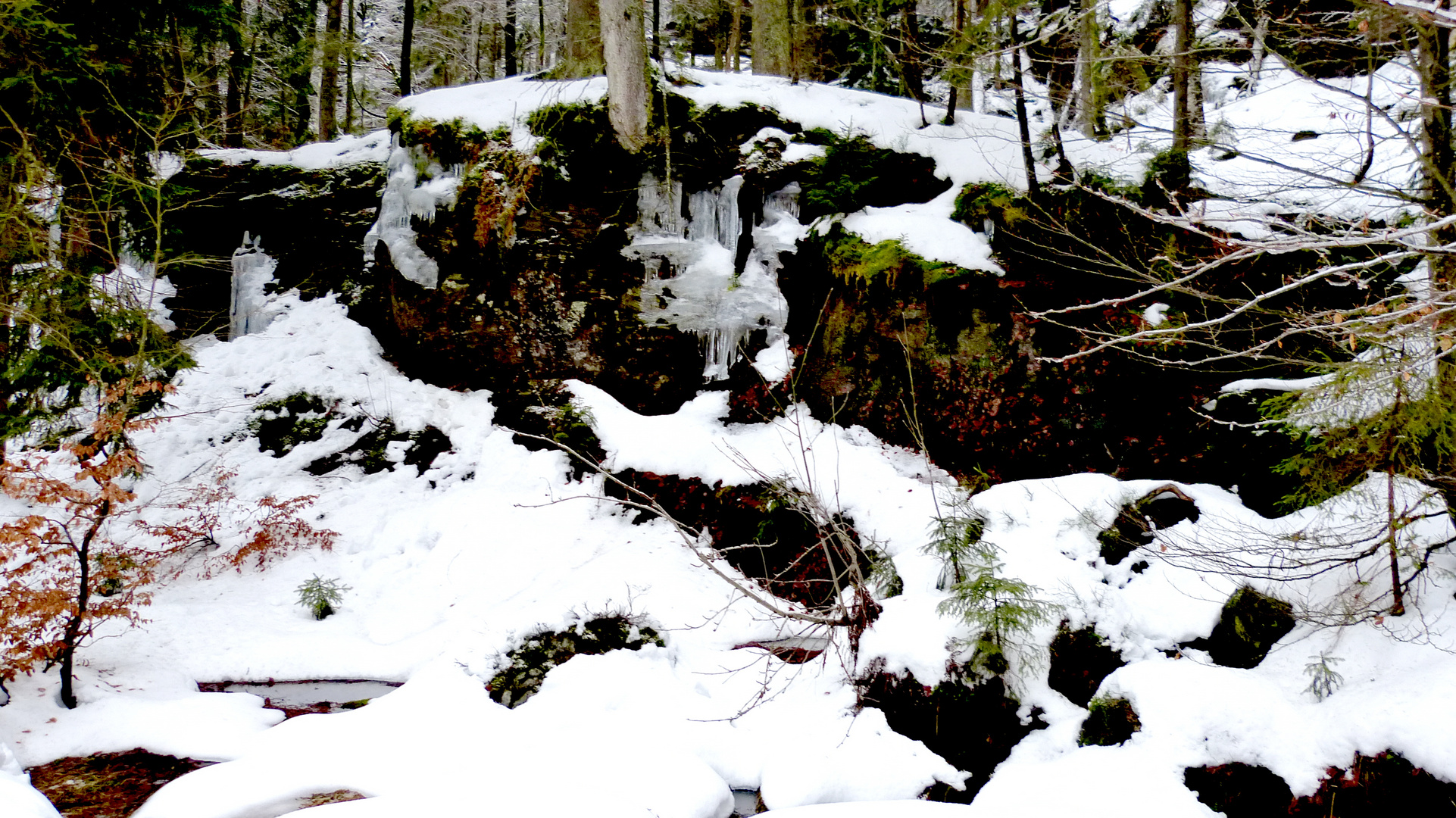 am Großen Arbersee  