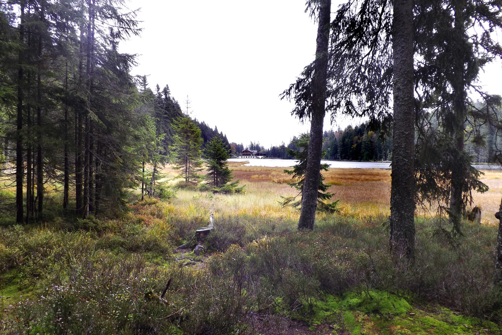 Am großen Arbersee