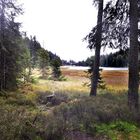 Am großen Arbersee