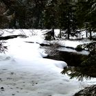 am Großen Arbersee 