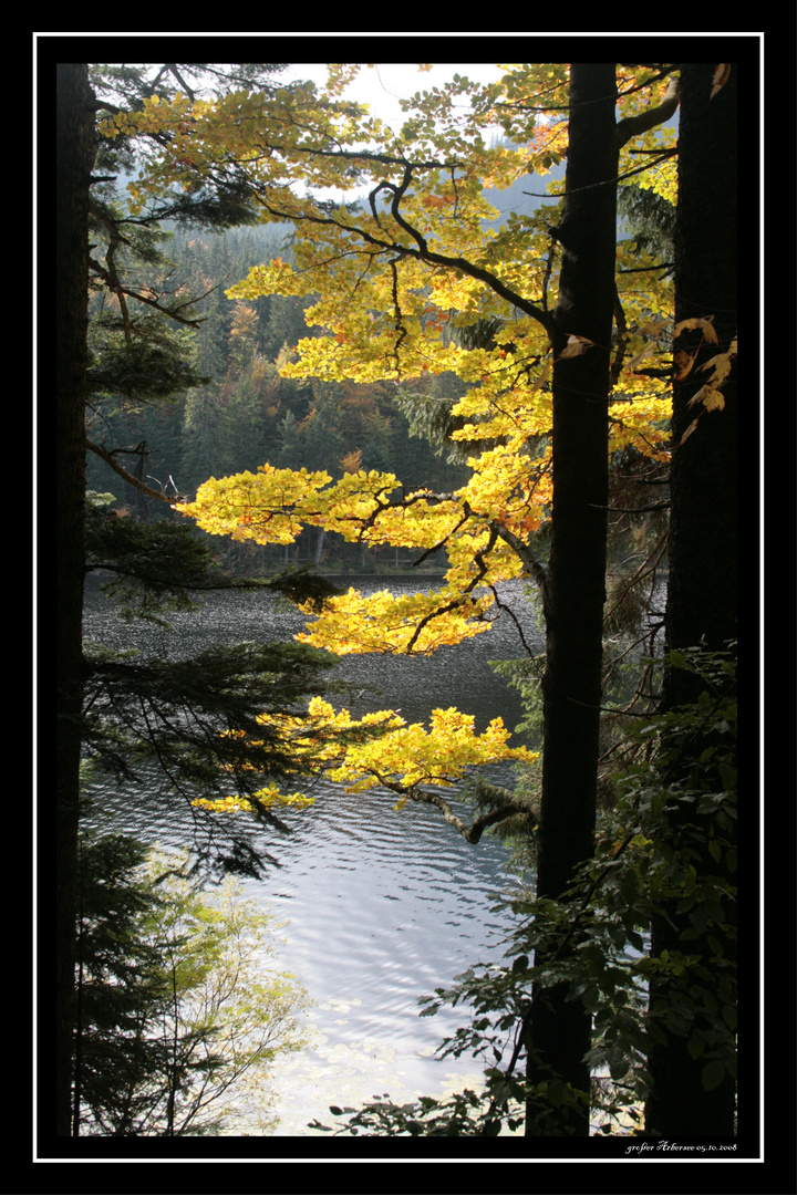 am großen Arbersee