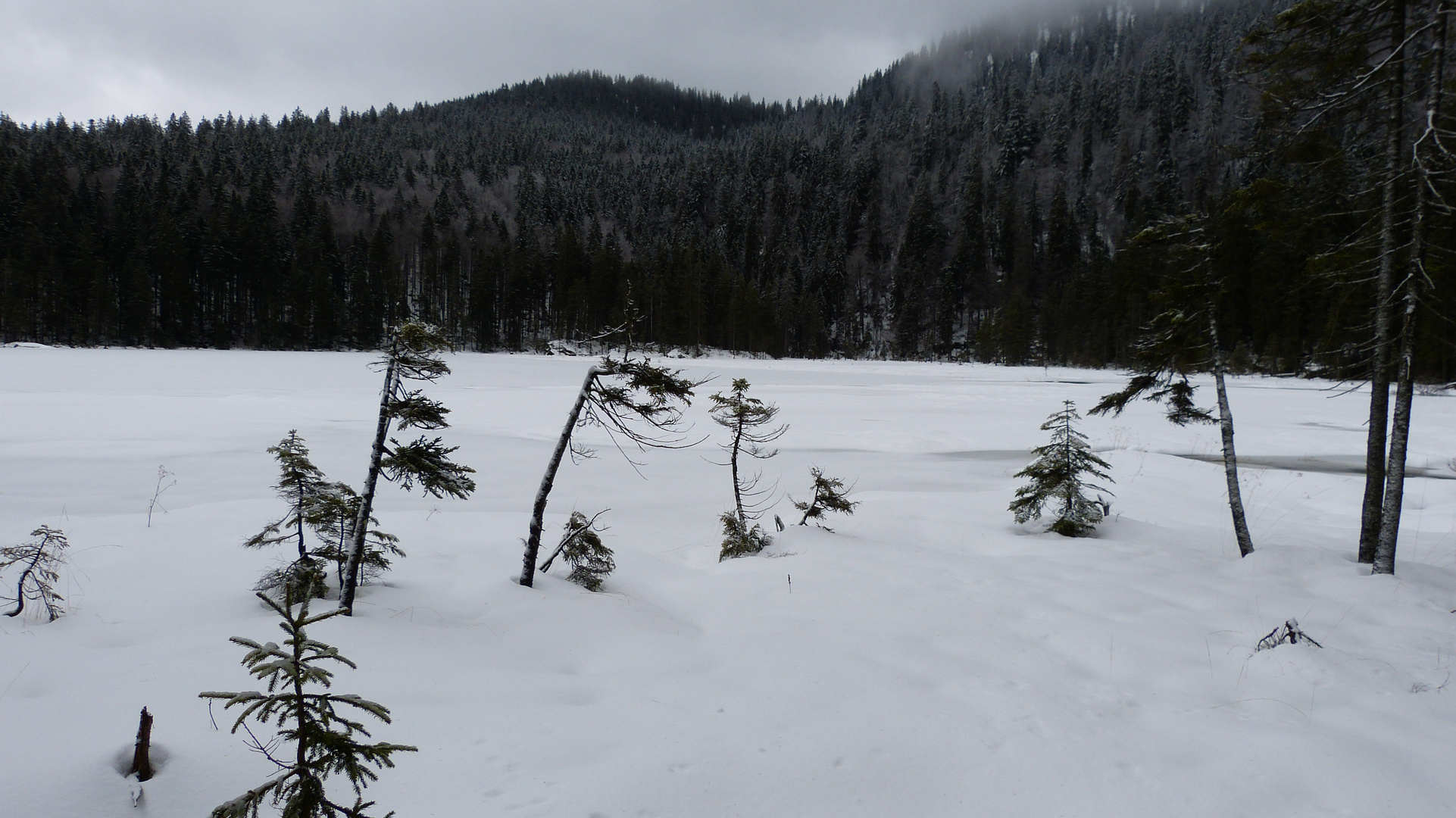 am Großen Arbersee 