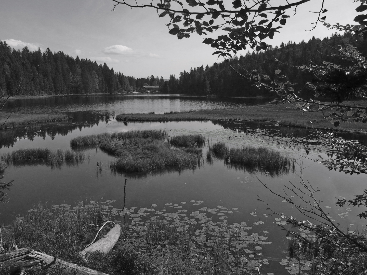 Am Großen Arbersee