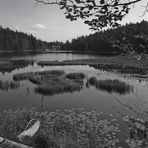 Am Großen Arbersee