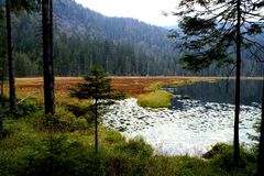 Am Großen Arbersee