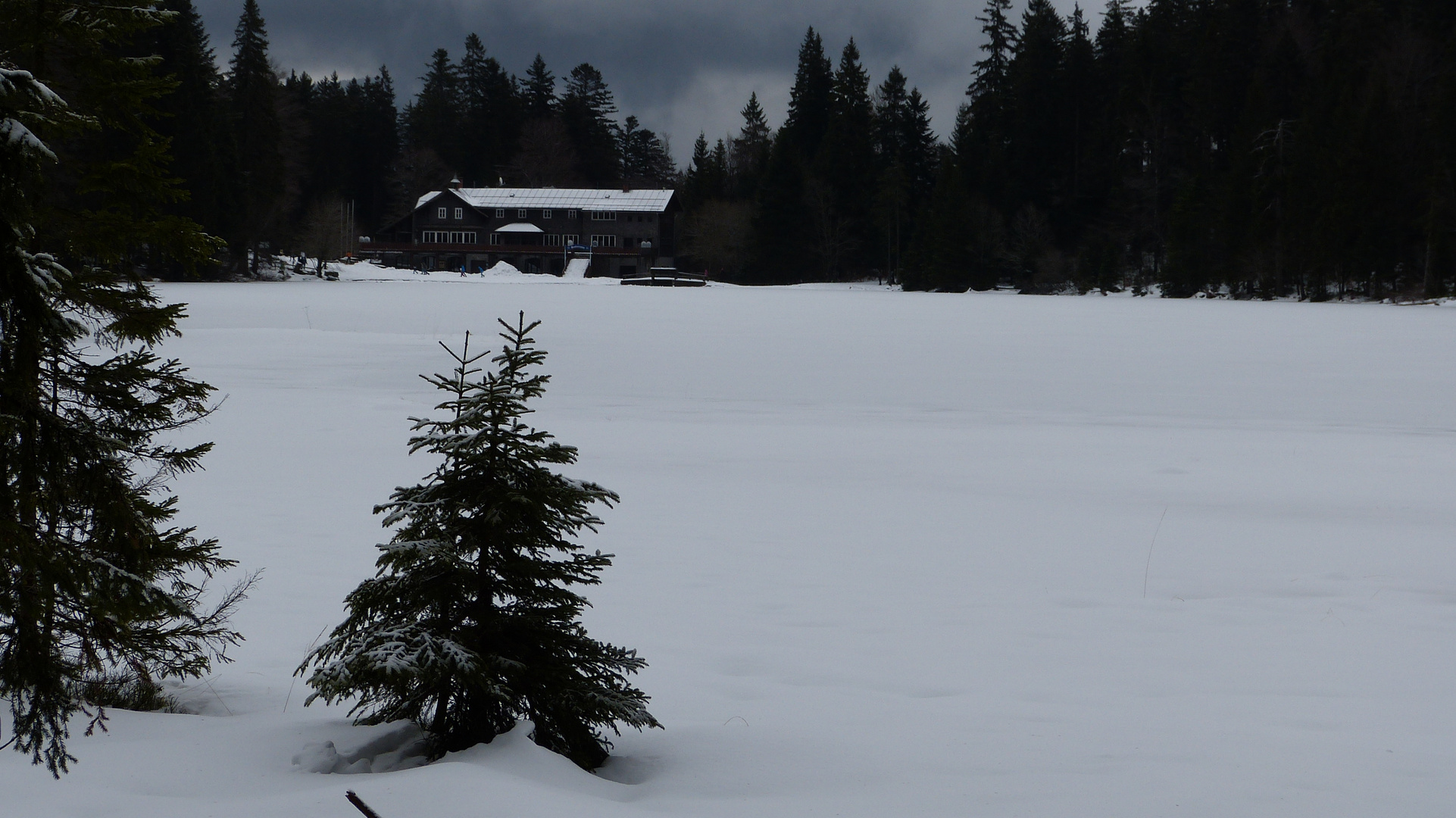 am Großen Arbersee  im Bayerischen Wald liegt Schnee