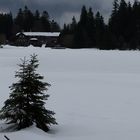 am Großen Arbersee  im Bayerischen Wald liegt Schnee