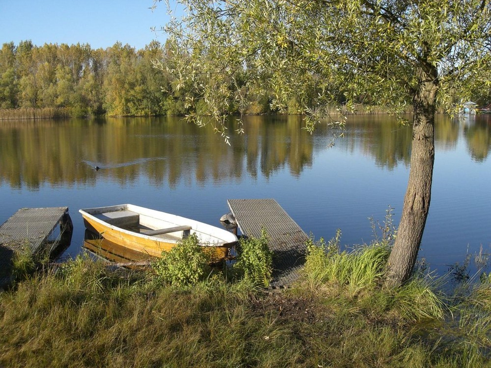 Am großen Bernsteinsee