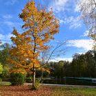 Am Grossen Hafen in Lübbenau