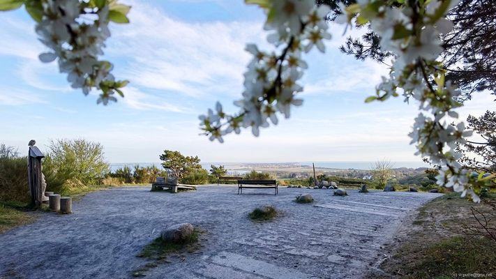Am "Großen Inselblick"