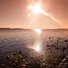 Am großen Jasmunder Bodden