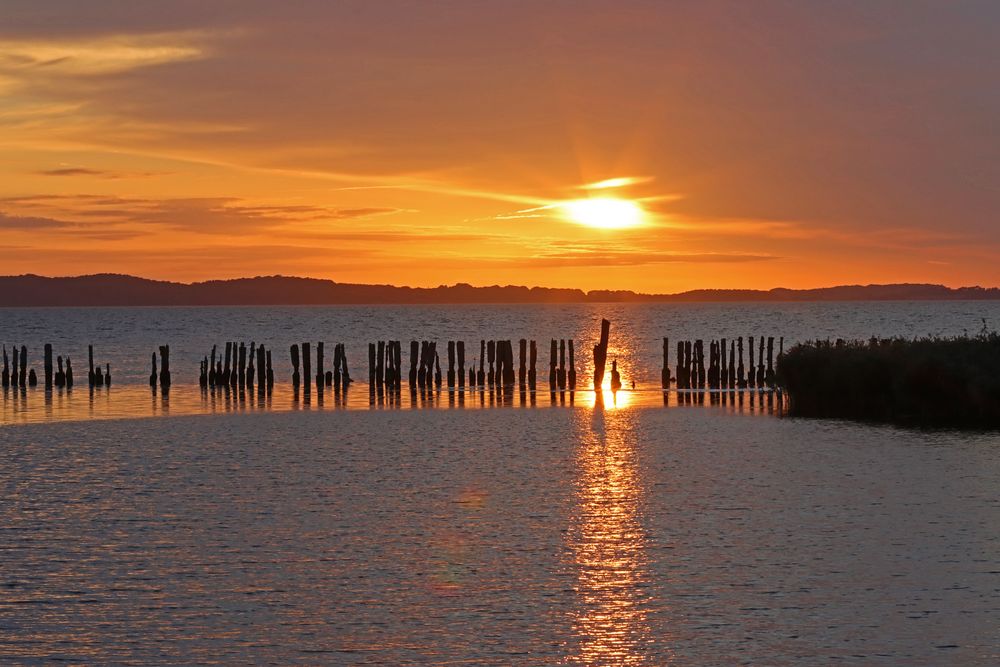 Am Großen Jasmunder Bodden