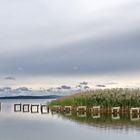 Am Großen Jasmunder Bodden 