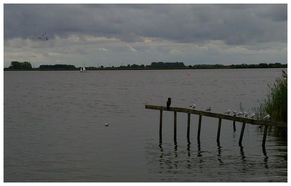 Am " Großen Meer " in Ostfriesland......