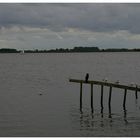 Am " Großen Meer " in Ostfriesland......