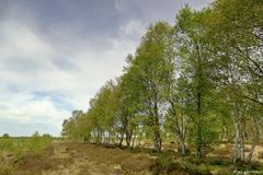 Am Großen Moor 1