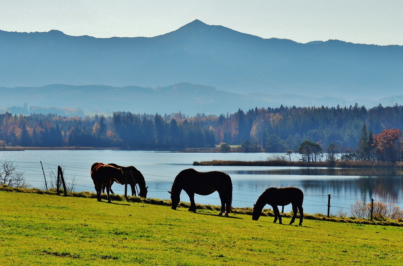 Am Großen Ostersee