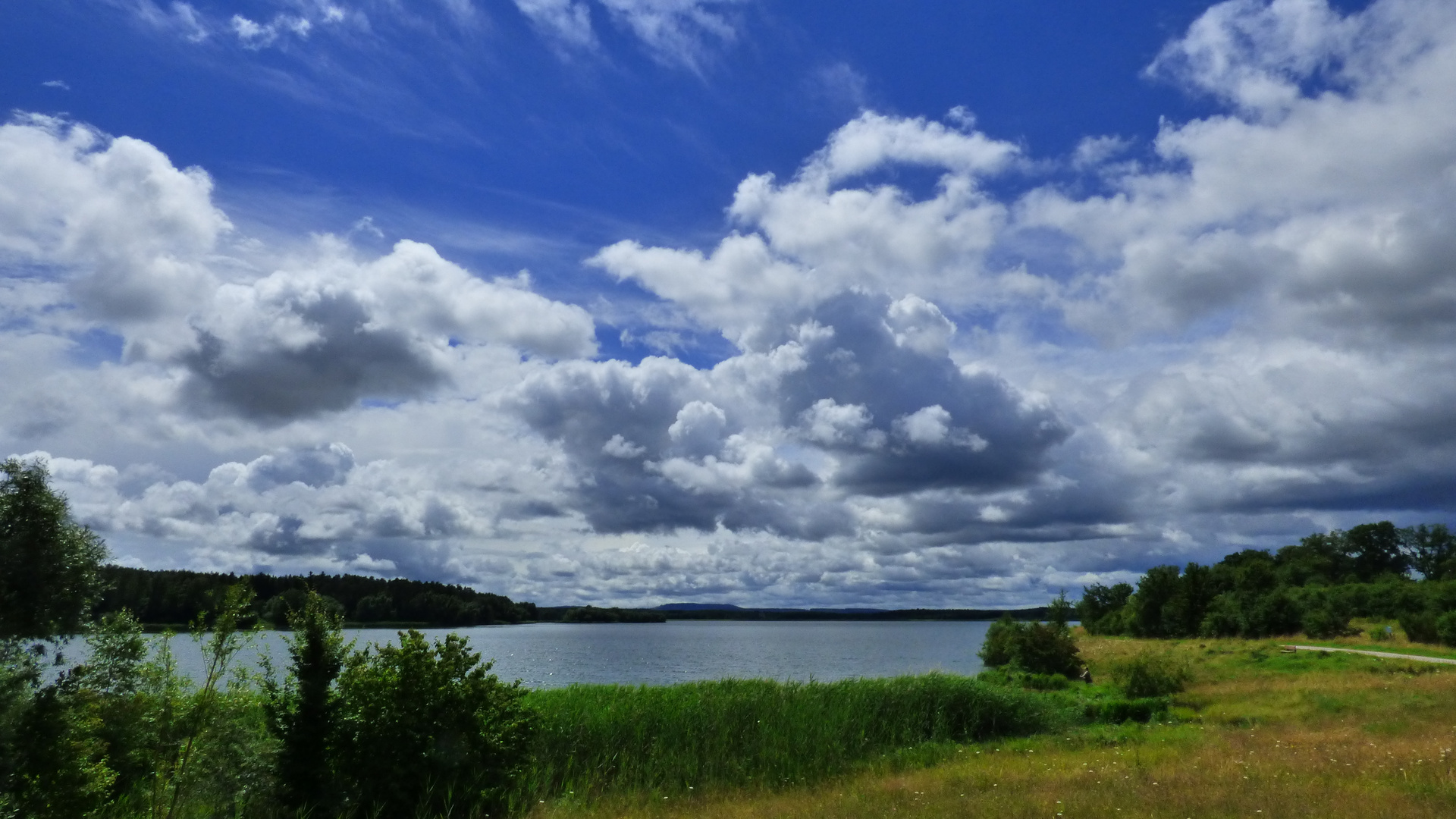 am großen Rothsee  