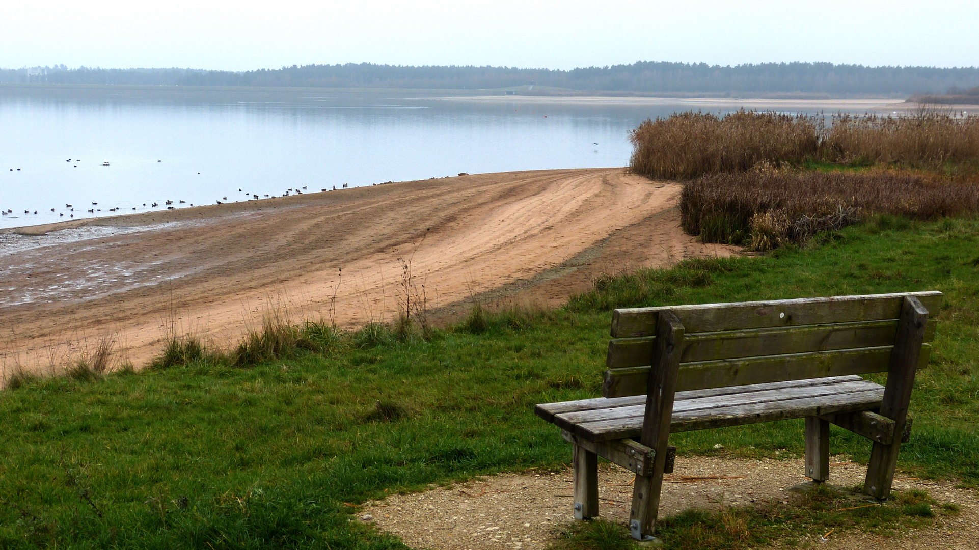 am großen Rothsee 11