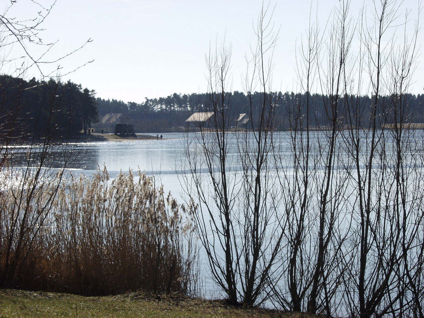 am großen Rothsee  