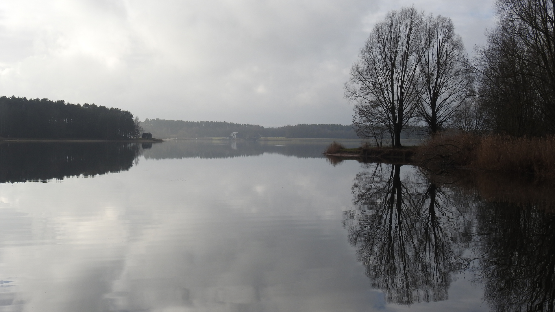 am großen Rothsee  