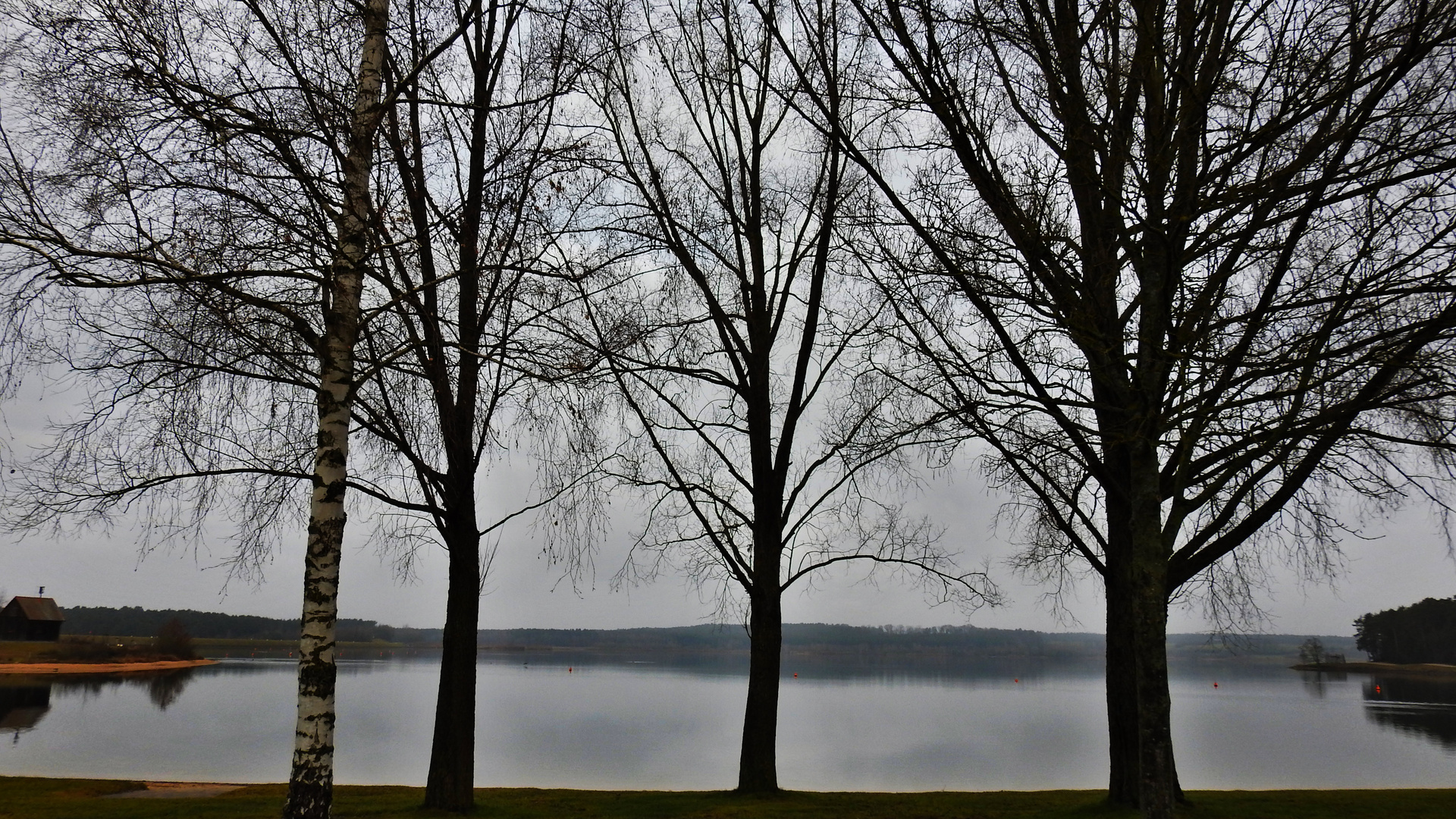 am großen Rothsee  