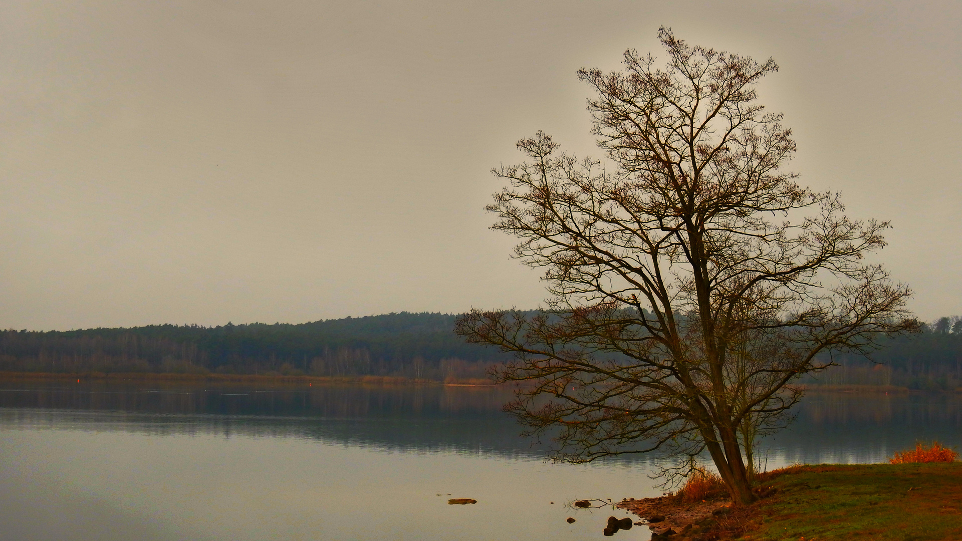 am großen Rothsee  