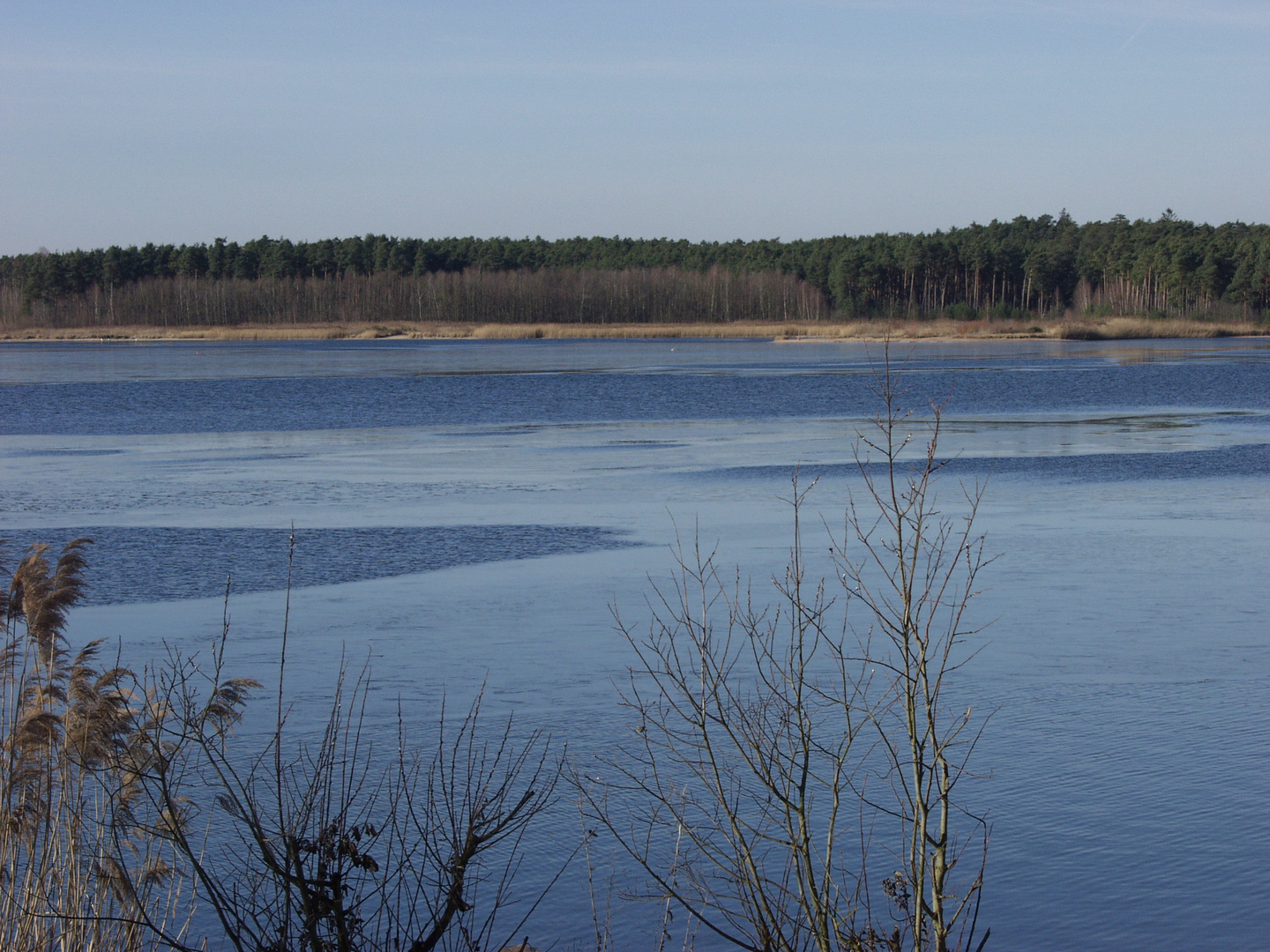 am großen Rothsee  