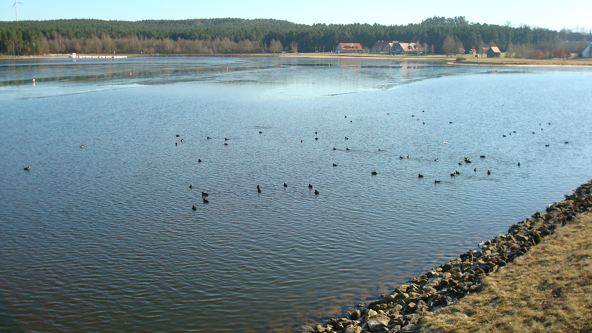 am großen Rothsee  