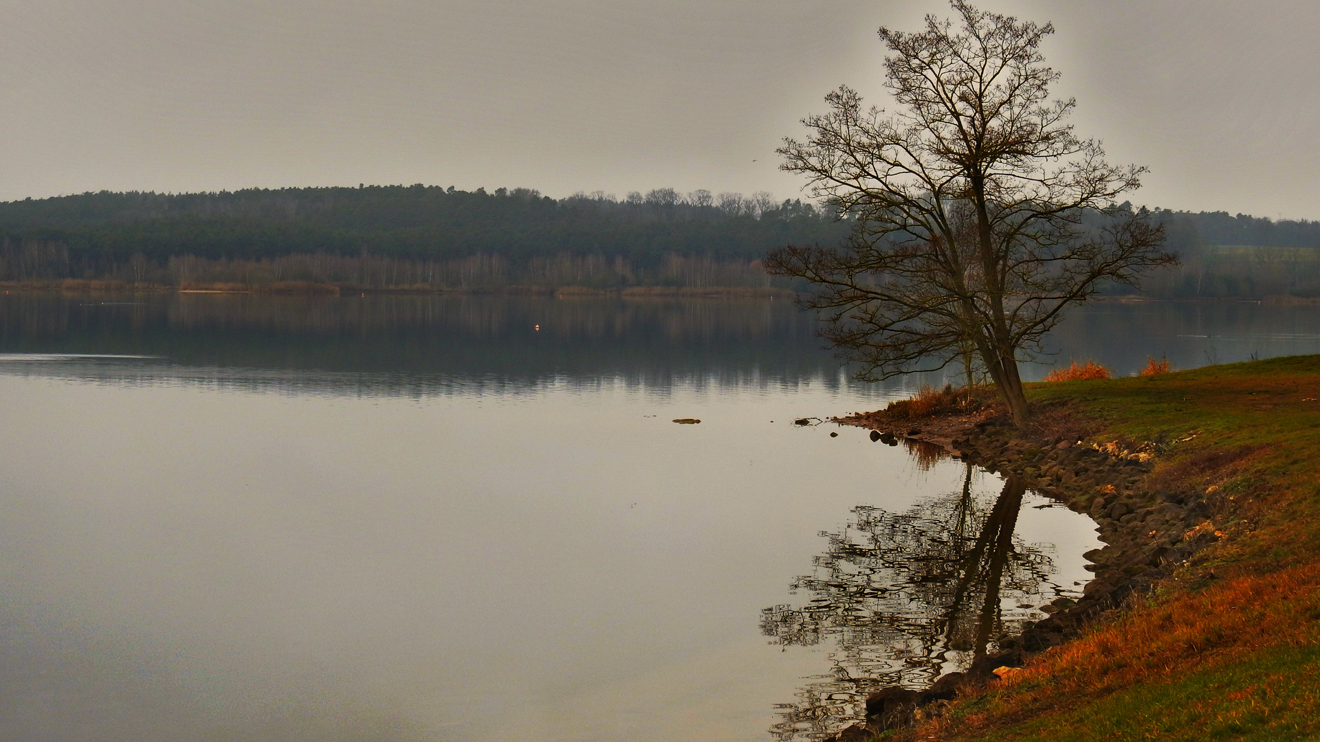 am großen Rothsee  