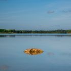 Am Großen Seddiner See